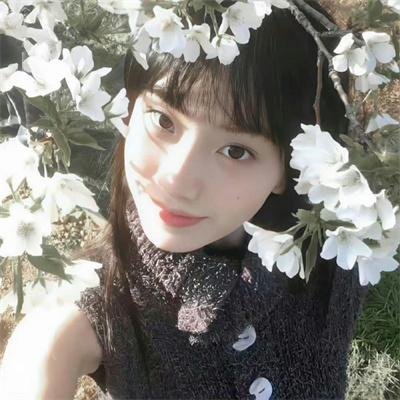 图灵传 在线观看封面