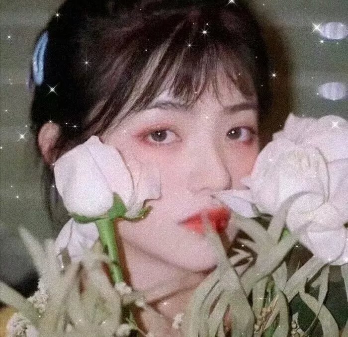 繁花 沪语版 封面