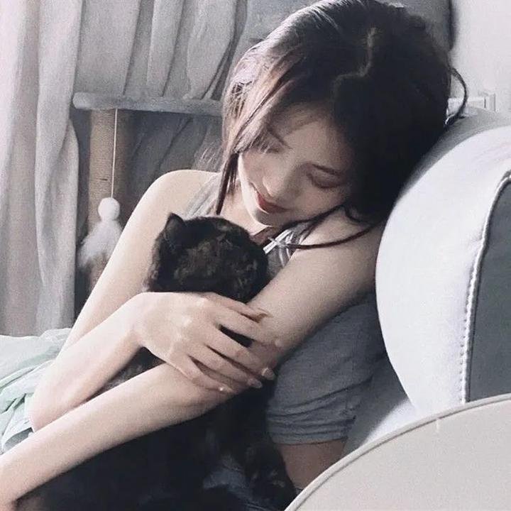 夜梦传说之天狼使者 封面